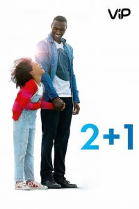 2+1 (2016)