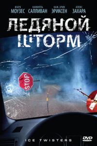 Ледяной шторм (2009)